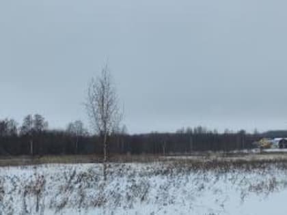 В Костромской области Управление Россельхознадзора совместно с МЧС обследовало более 30 га сельхозугодий