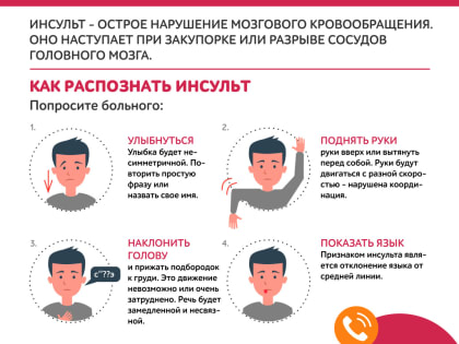 Владимирцам предложили новый сбалансированный рацион