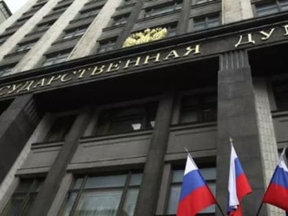 Депутаты Госдумы рассмотрят законпроект об изъятии имущества за дискредитацию армии