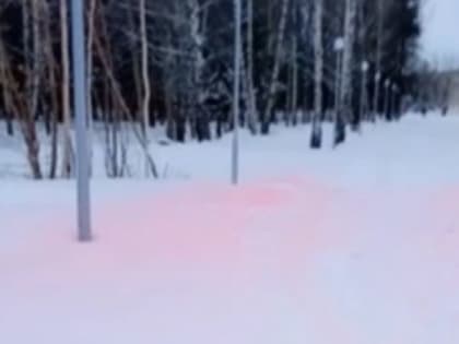 В Добросельском парке Владимира снег окрасился в розовый цвет