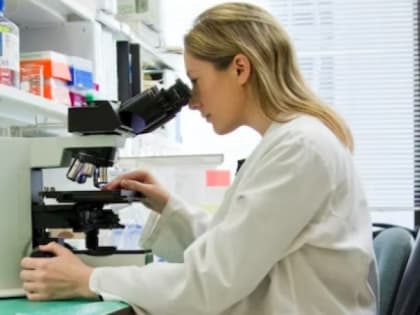 В новый медицинский вуз Владимирской области наберут и студентов, и ординаторов