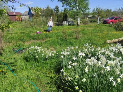 Полный запрет с сегодняшнего дня: неожиданный сюрприз для всех садоводов и огородников