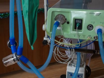 За прошедшие сутки во Владимирской области подтверждено 53 случая заболевания ковидом