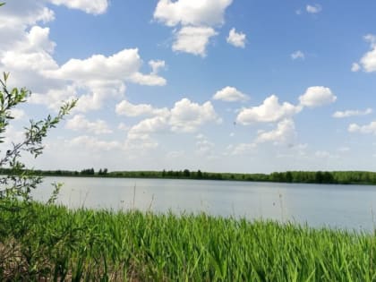 Жаркие дни в Владимирской области: погода до конца недели