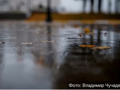 Владимирцы ожидают потепления