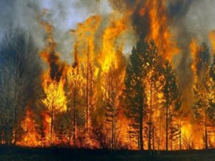 ВНИМАНИЕ! Особый противопожарный режим!