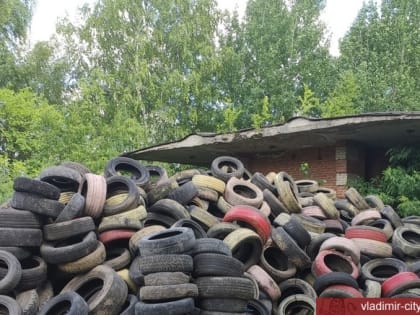 Брошенные автомобильные покрышки наносят урон экологии города