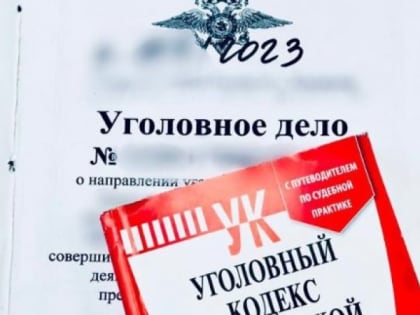 Обвиненный в краже житель Владимирской области вырвал документы из уголовного дела