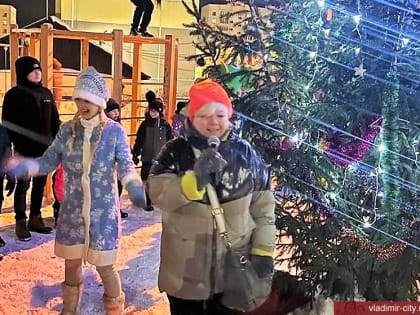 Во Владимире начались новогодние представления во дворах