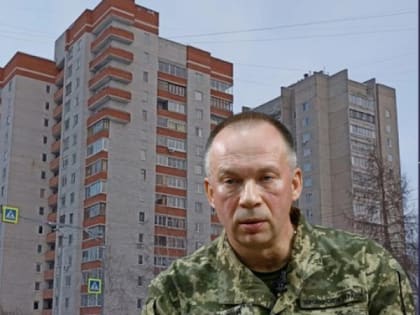 Политики вступились за живущих во Владимире родителей главкома ВСУ Сырского