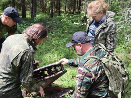 Поисковый отряд обнаружил в киржачских лесах останки самолета времен Великой Отечественной войны