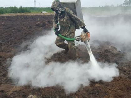 В Александровском районе сожгли незаконную свалку мертвых баранов