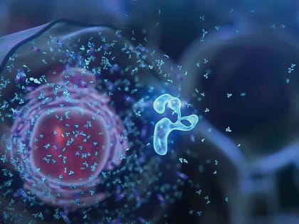 Владимирский регион был включен в антирейтинг по заболеваемости раком