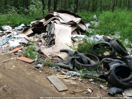 Суд обязал власти Судогодского района ликвидировать стихийную свалку на окраине деревни Бараки
