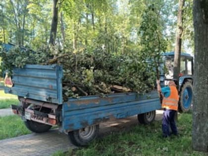 Уборка и ремонт улично-дорожной сети 9 июля