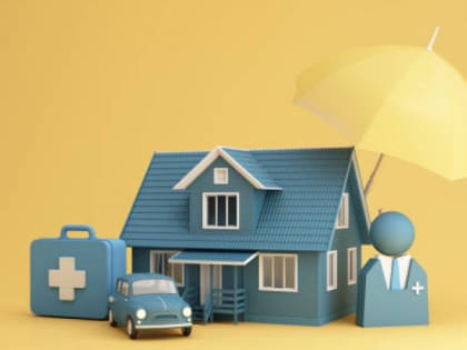 Жители Владимирской области жалеют себя меньше, чем свое имущество