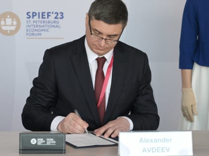 Выращивание голубики, окраска металла и производство лапши: какие еще договоры владимирские власти подписали на экономическом форуме в Питере