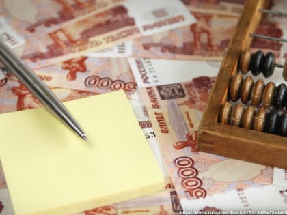 На что мэрия Владимира потратит бюджетные деньги в 2024 году?