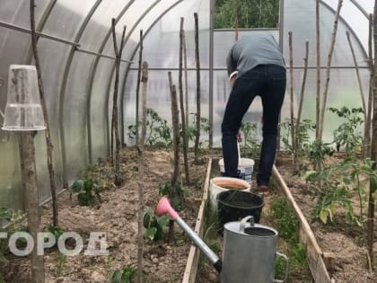 Бесплатно, натурально, эффективно: дачникам представили новое средство от сорняков