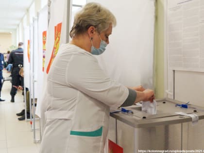 На выборах в ЗакСобрание в трёх владимирских больницах откроют временные участки