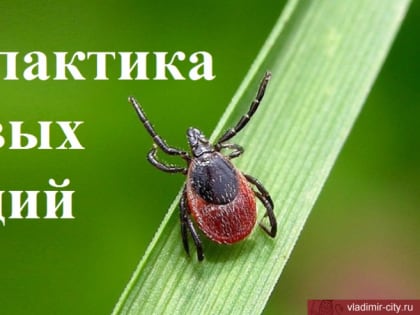 Профилактика клещевых инфекций