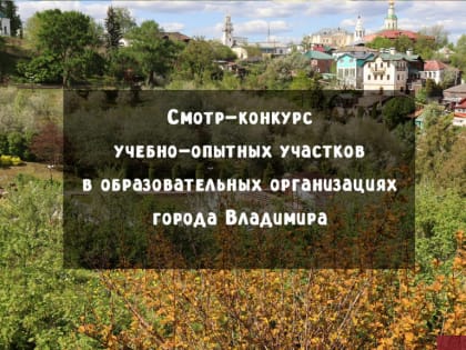 Во Владимире выберут лучший пришкольный участок