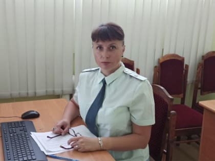 О бездекларационном порядке проведения камеральной налоговой проверки рассказали на вебинаре