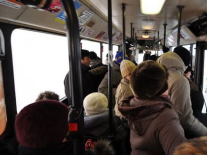 Четырех владимирских перевозчиков оштрафовали за срыв графиков движения транспорта