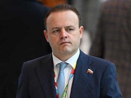 Вице-спикер Думы Даванков предложил ввести «закон Мизулиной» после ситуации с Милохиным