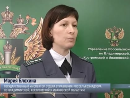 Владимирских огородников предупредили об опасных семенах петрушки