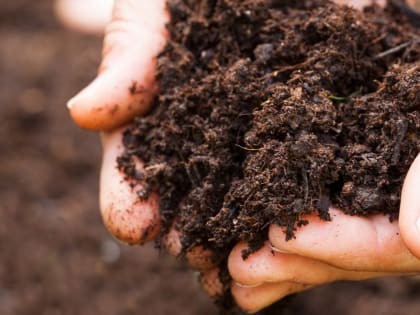 Импорт торфа во Владимирскую область увеличился на 50% по сравнению с аналогичным периодом прошлого года