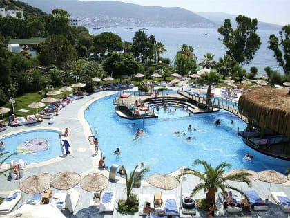 Стало известно, стоит ли ждать в этом году горящих путевок в Турцию