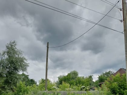 Трава у дома: косим по правилам