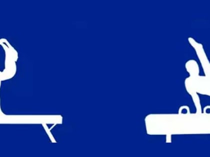 Успешное выступление ковровчан на турнире по спортивной гимнастике в Ярославле