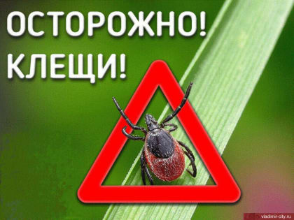 АДМИНИСТРАЦИЯ ФРУНЗЕНСКОГО РАЙОНА ИНФОРМИРУЕТ