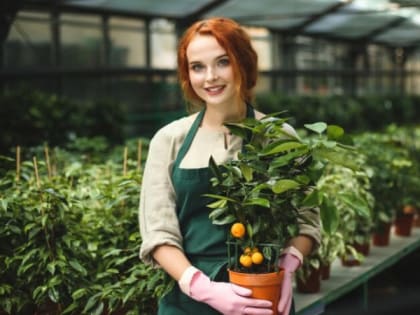 Губернатор Авдеев учредил стипендии для студентов остродефицитных специальностей