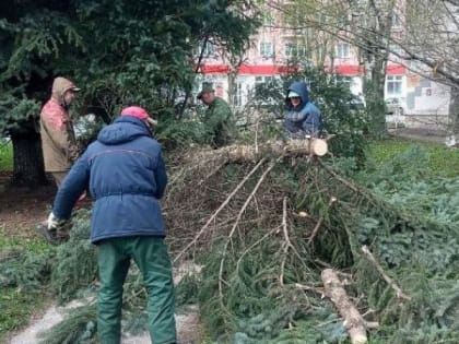 Владимирские коммунальщики устраняют последствия шквалистого ветра
