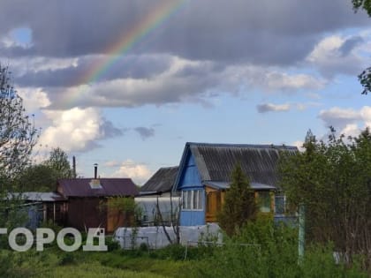 Дачникам предложили 3 года на освоение земли: что будет, если не успеешь