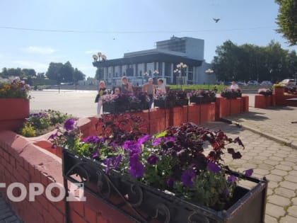 Спасатели сделали важное заявление о жаре во Владимирской области