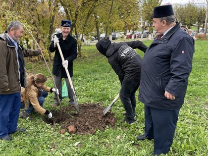 Каштановая "Аллея дружбы" во Владимире