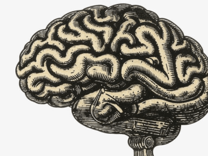 Жителям Владимирской области назвали самый важный период для восстановления мозга после инсульта