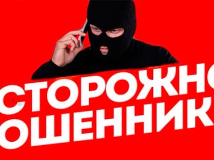 Увеличение преступности в Владимирской области за неделю