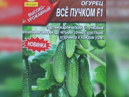 Россельхознадзор пресек продажу в Муроме и Меленках семян "Все пучком" и "Братец лис"