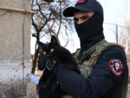 МИД Британии назвал Концепцию внешней политики России первоапрельской шуткой