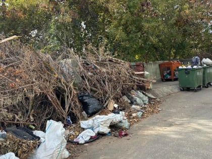 Скандал с уборкой мусора в Перекопском военном городке