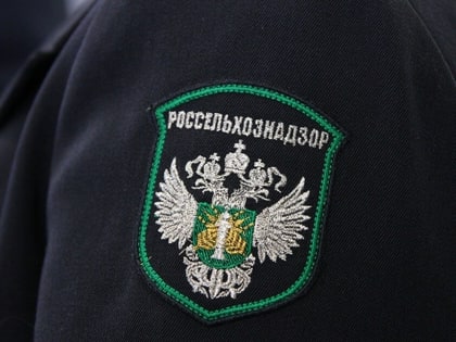 В каждой десятой пробе животноводческой продукции на территории Владимирской области выявлены несоответствия