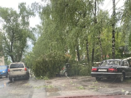 Ураган поломал деревья, крыши и машины владимирцев