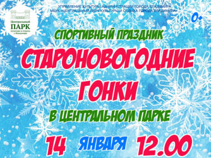 Спортивный праздник в Центральном парке «Староновогодние гонки»