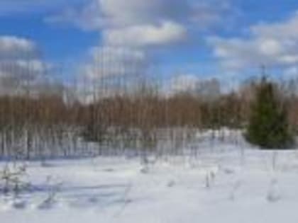 В Костромской области по результатам выездного обследования правообладателям объявлены предостережения за выявленные нарушения земельного законодательства