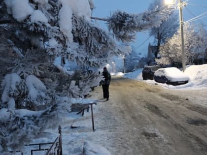 Владимирцам пообещали плюсовые температуры в январе